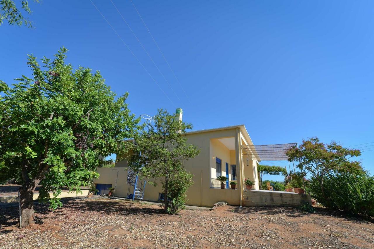 Santa Domenica Summer House Agia Kiriaki  Esterno foto