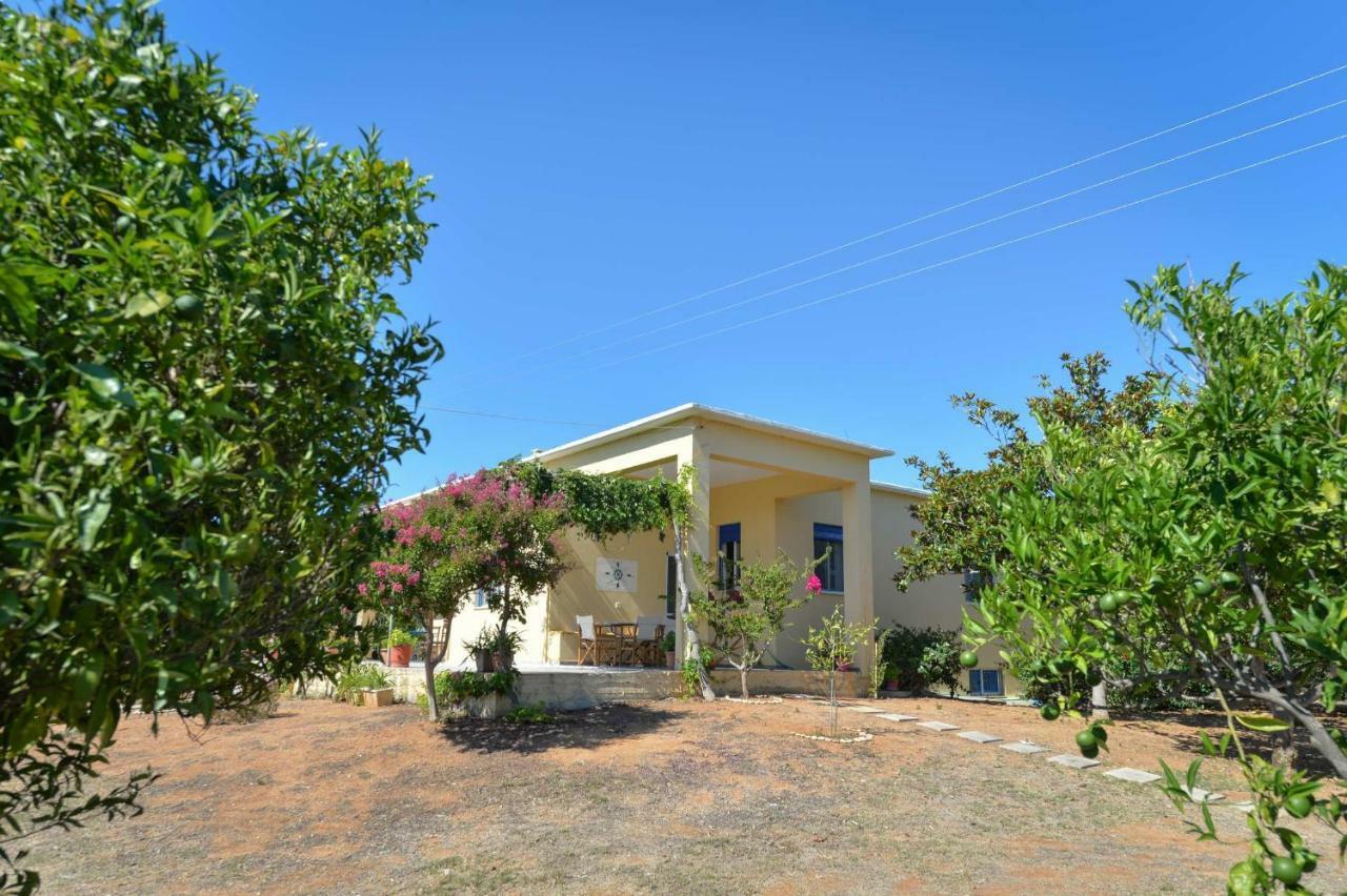 Santa Domenica Summer House Agia Kiriaki  Esterno foto